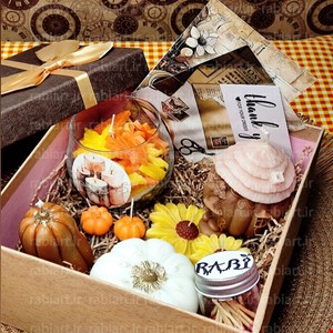 پک پاییزی ویشکا